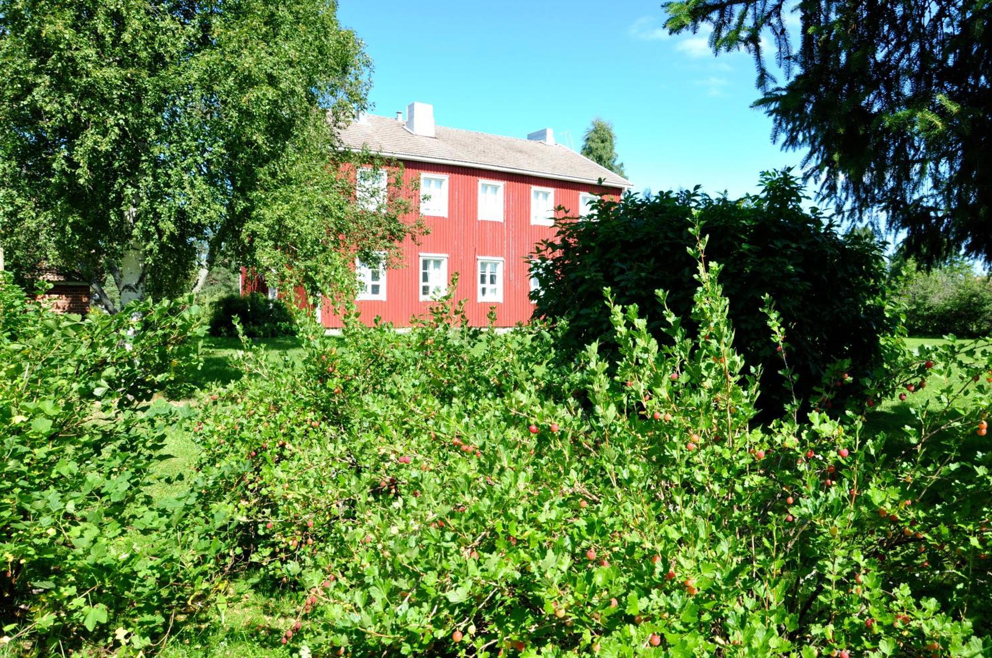 Opintola Bed & Breakfast Norinkylä 外观 照片